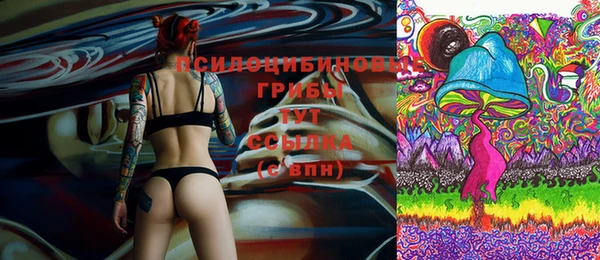 spice Тихорецк