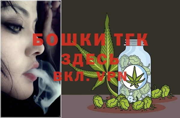 сатива Дмитровск
