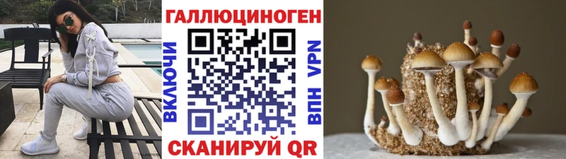 Псилоцибиновые грибы мицелий  магазин  наркотиков  Полевской 